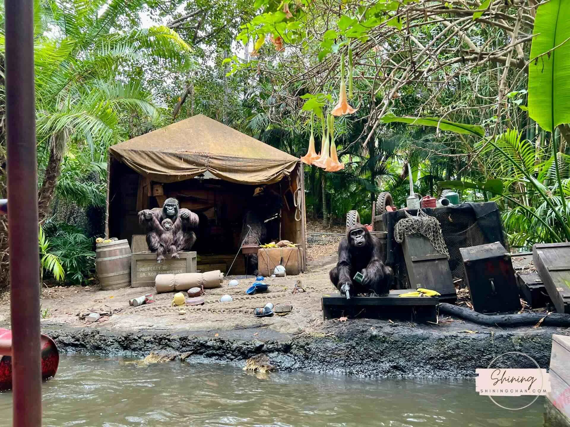 加州迪士尼 Adventureland 叢林巡航