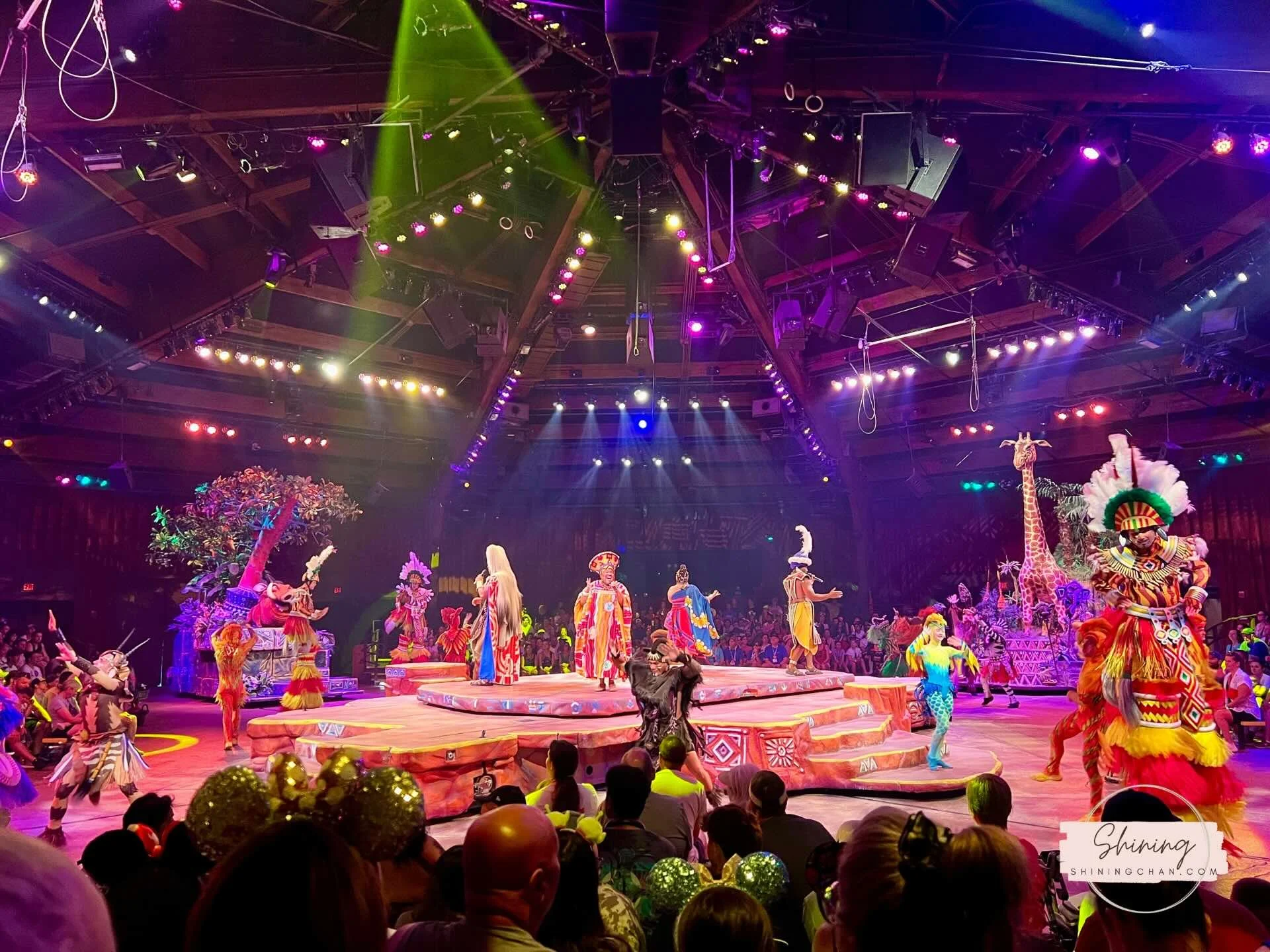 Wdw Animal Kingdom 7