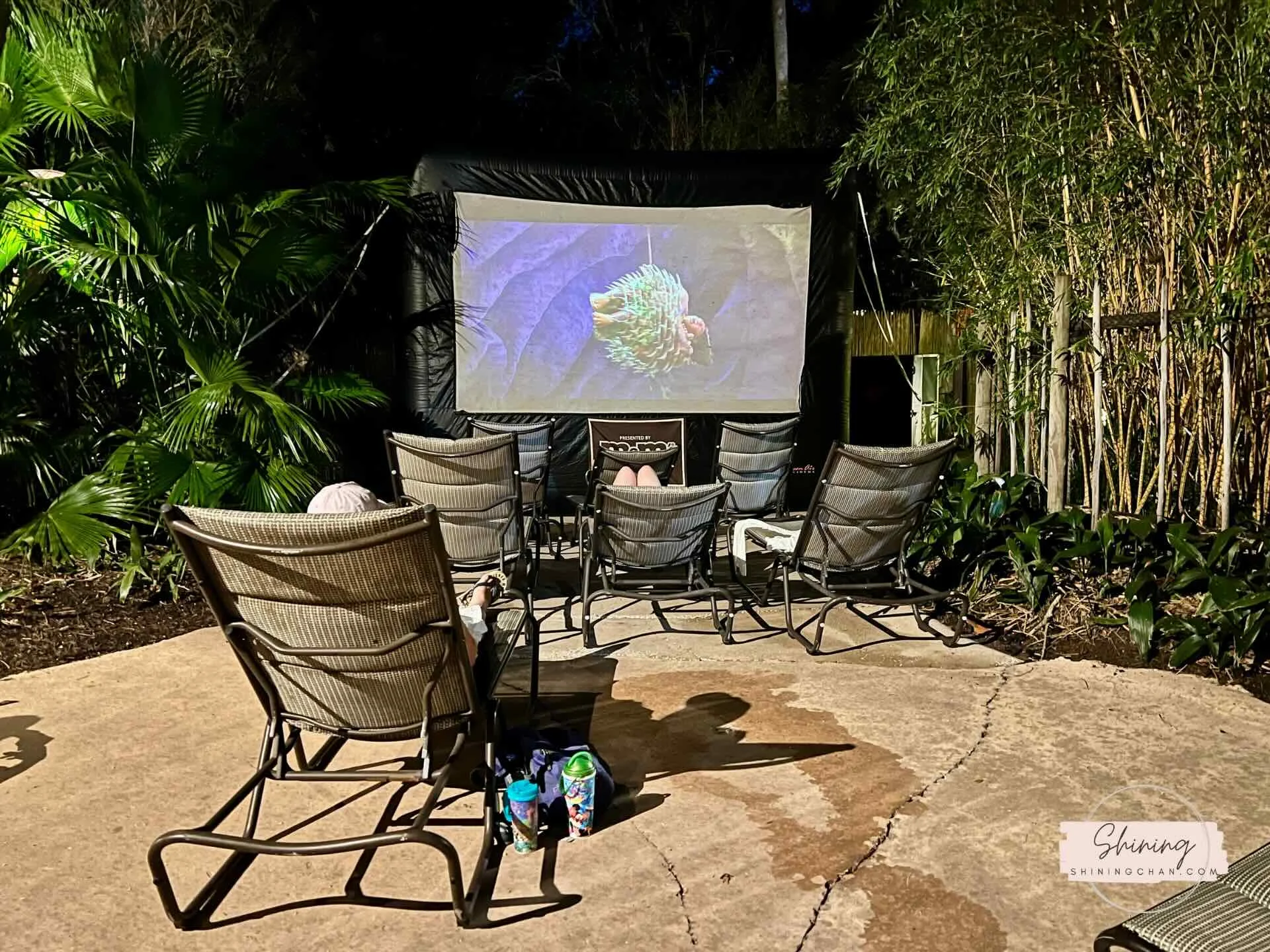 Wdw Animal Kingdom Lodge 14