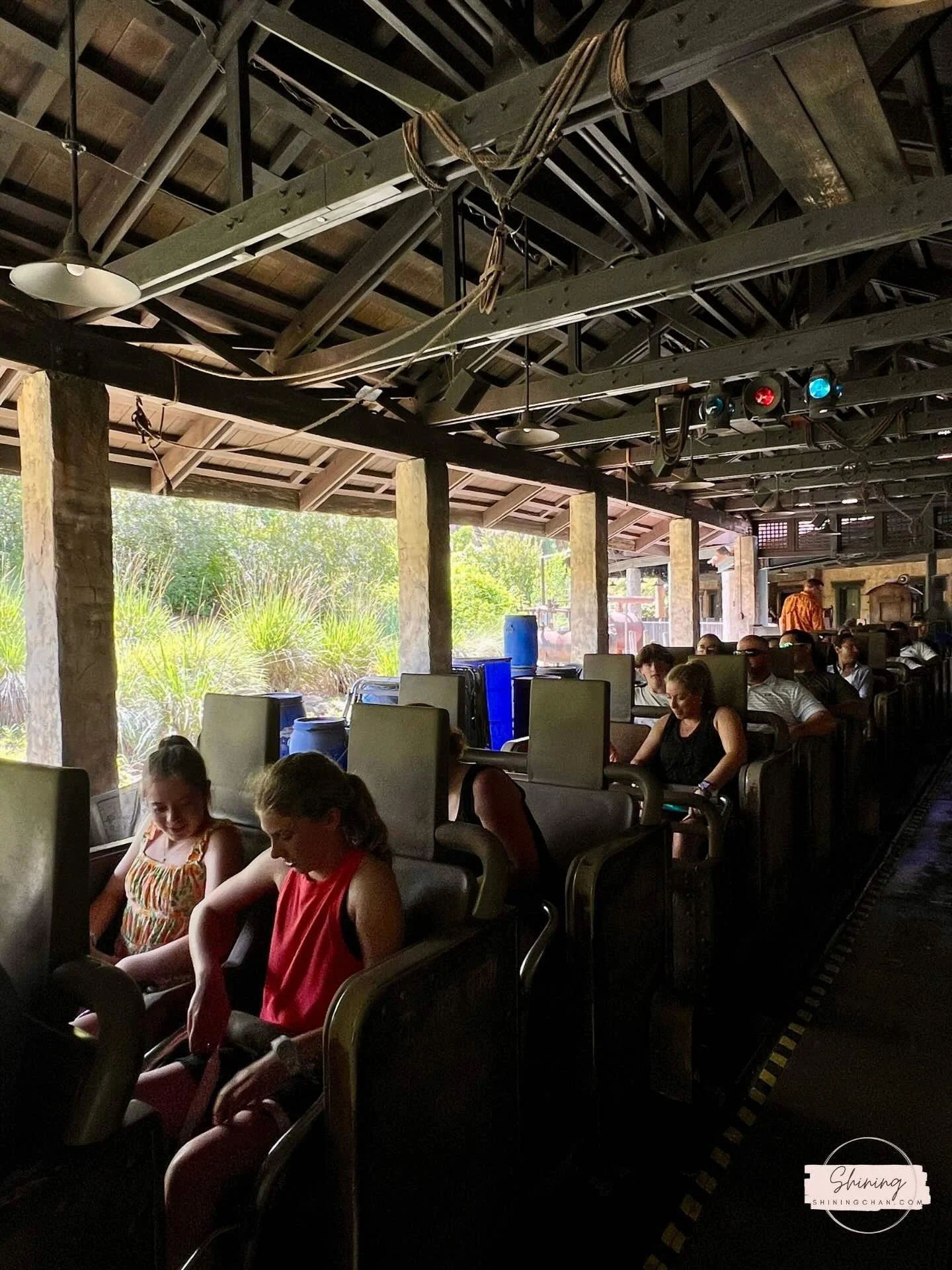 Wdw Animal Kingdom 14