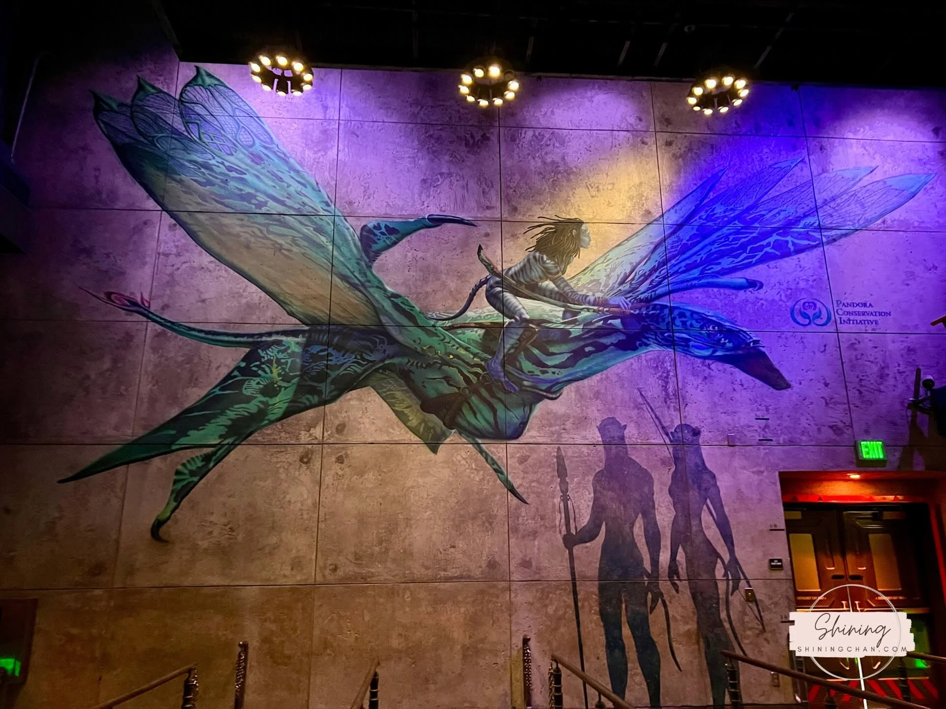 Wdw Animal Kingdom 5