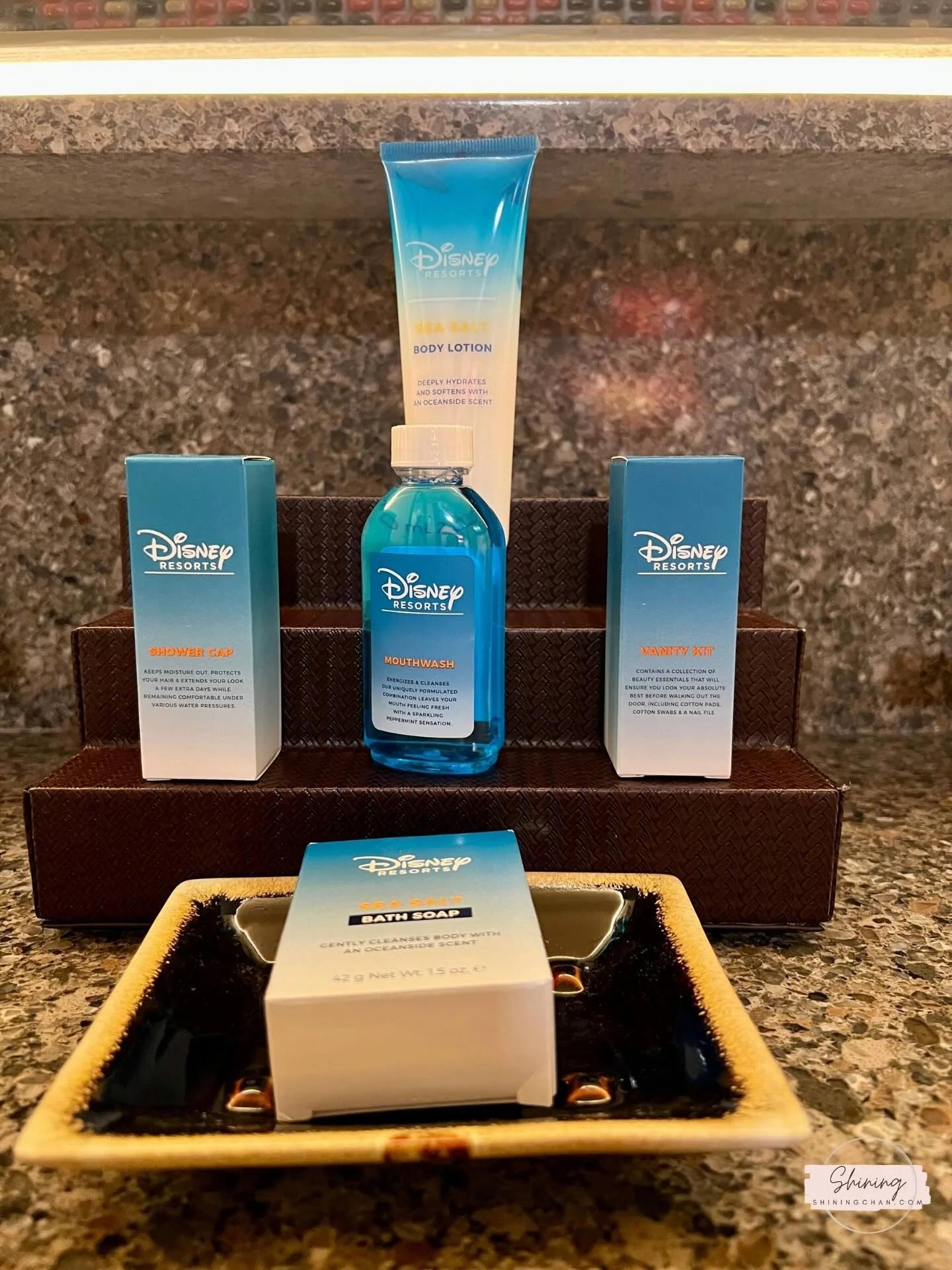 Wdw Animal Kingdom Lodge 4