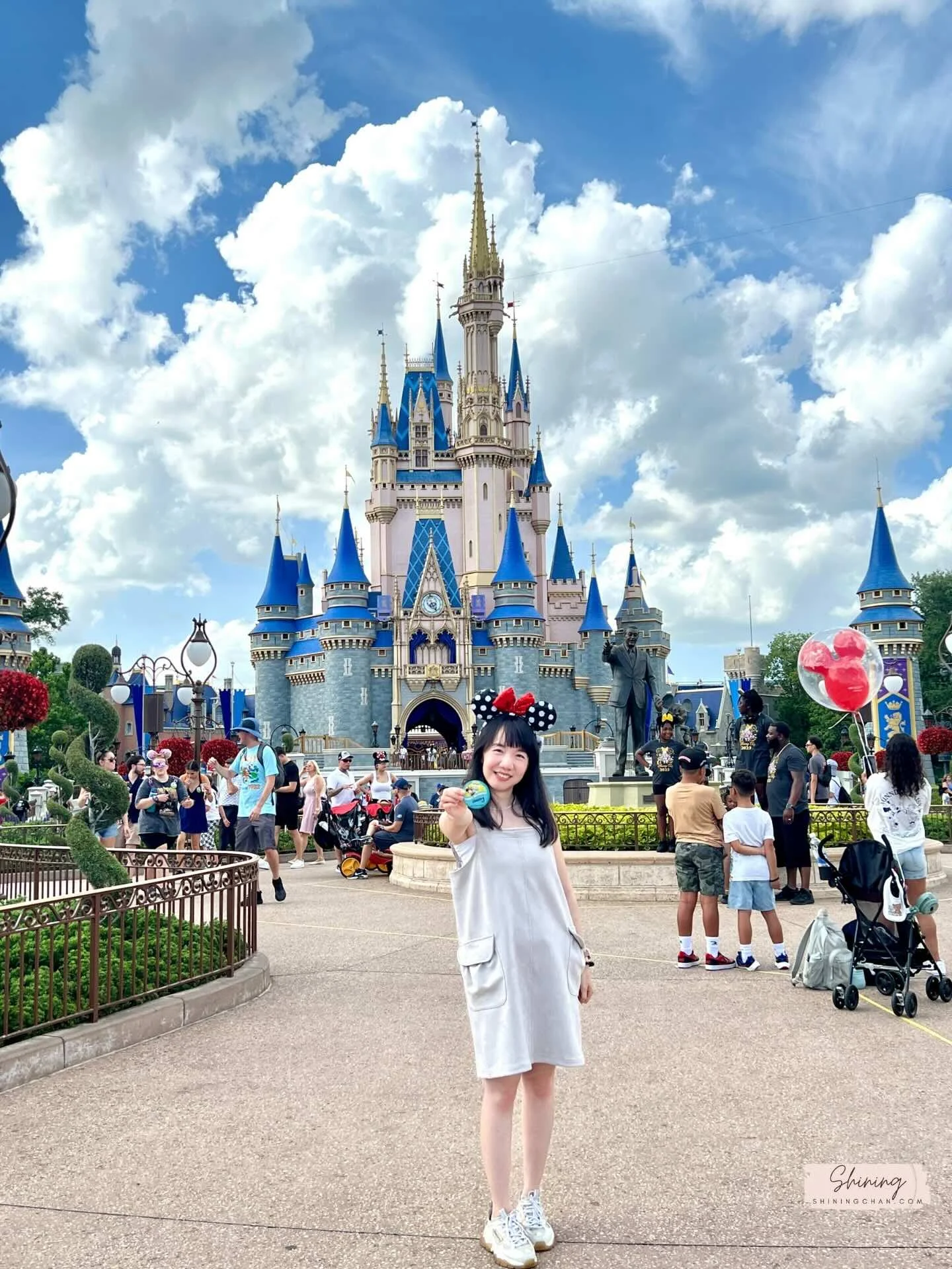 Wdw Magic Kingdom 15