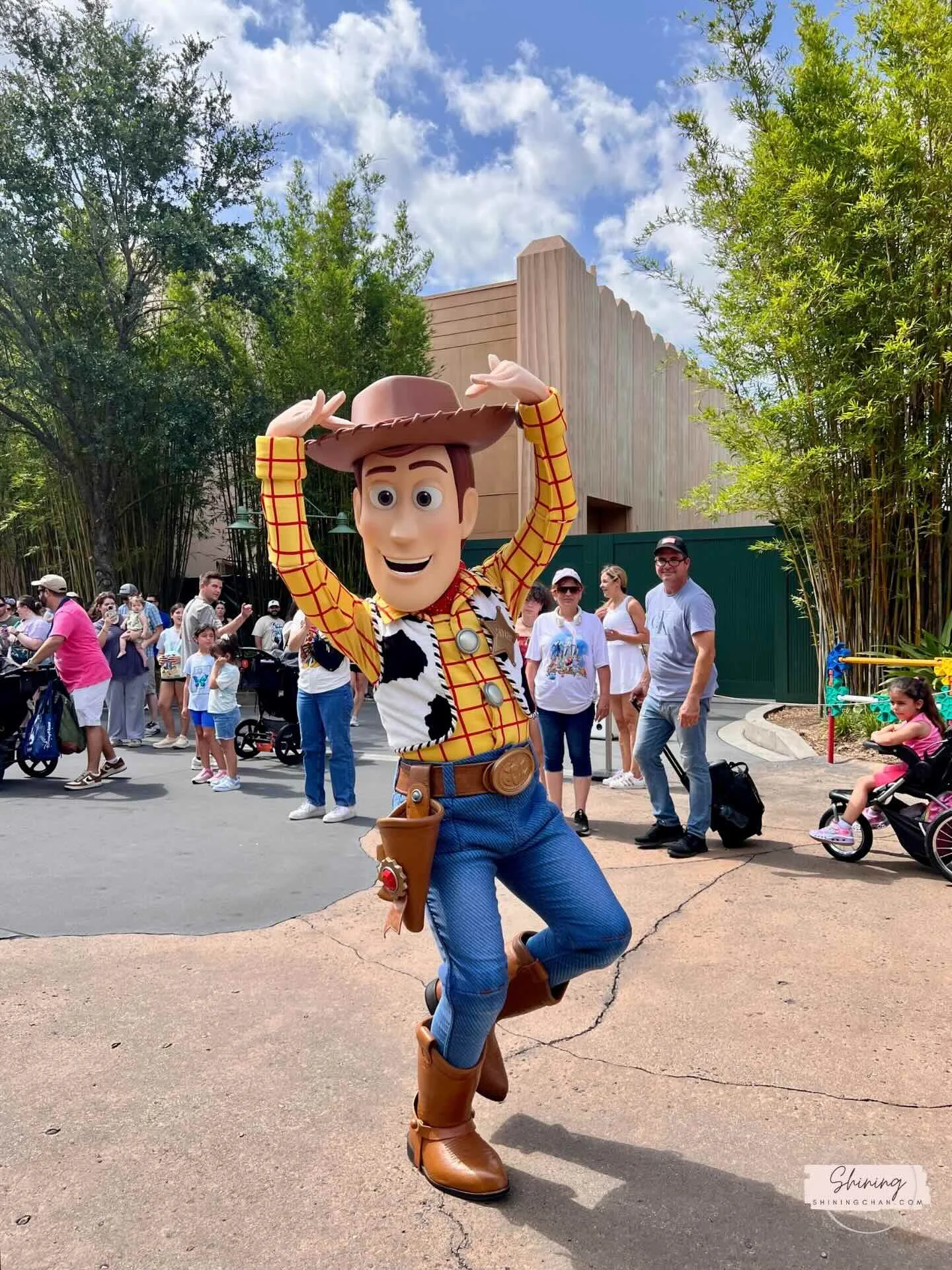 Wdw Hollywood Studios 4