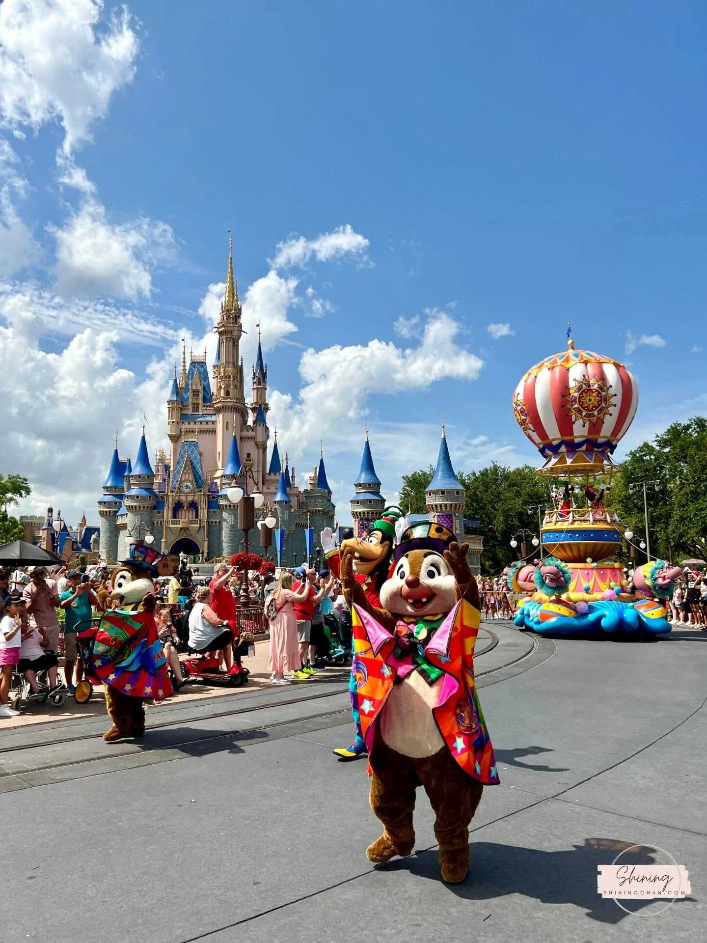 Wdw Magic Kingdom 10