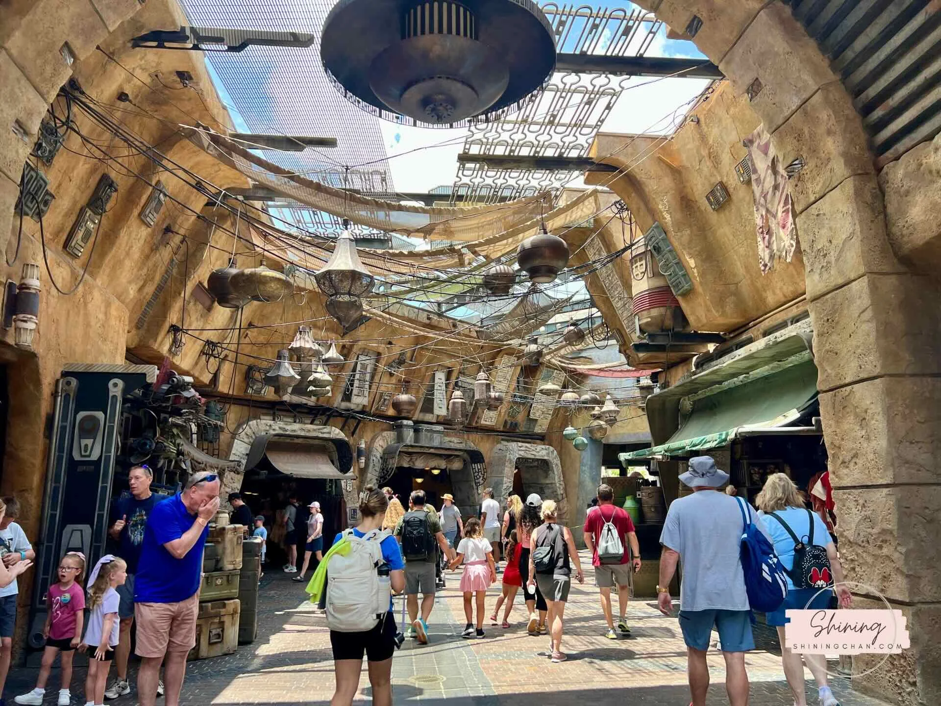 Wdw Hollywood Studios 16