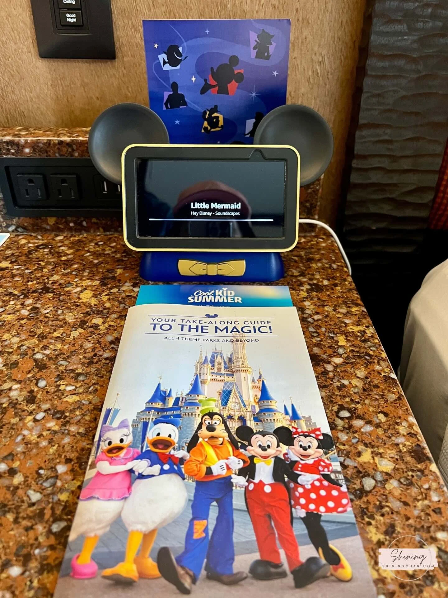 Wdw Animal Kingdom Lodge 3