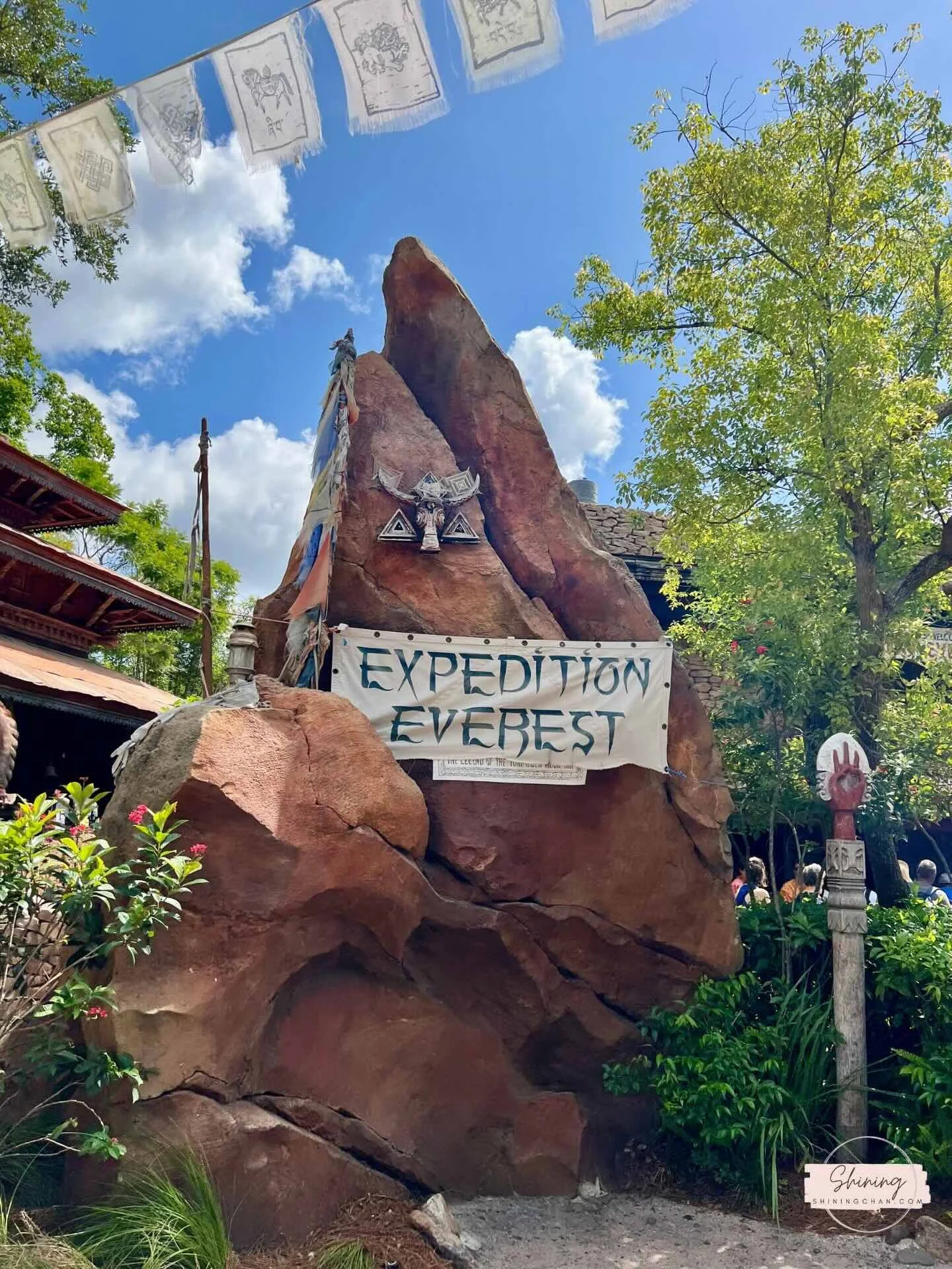 Wdw Animal Kingdom 11