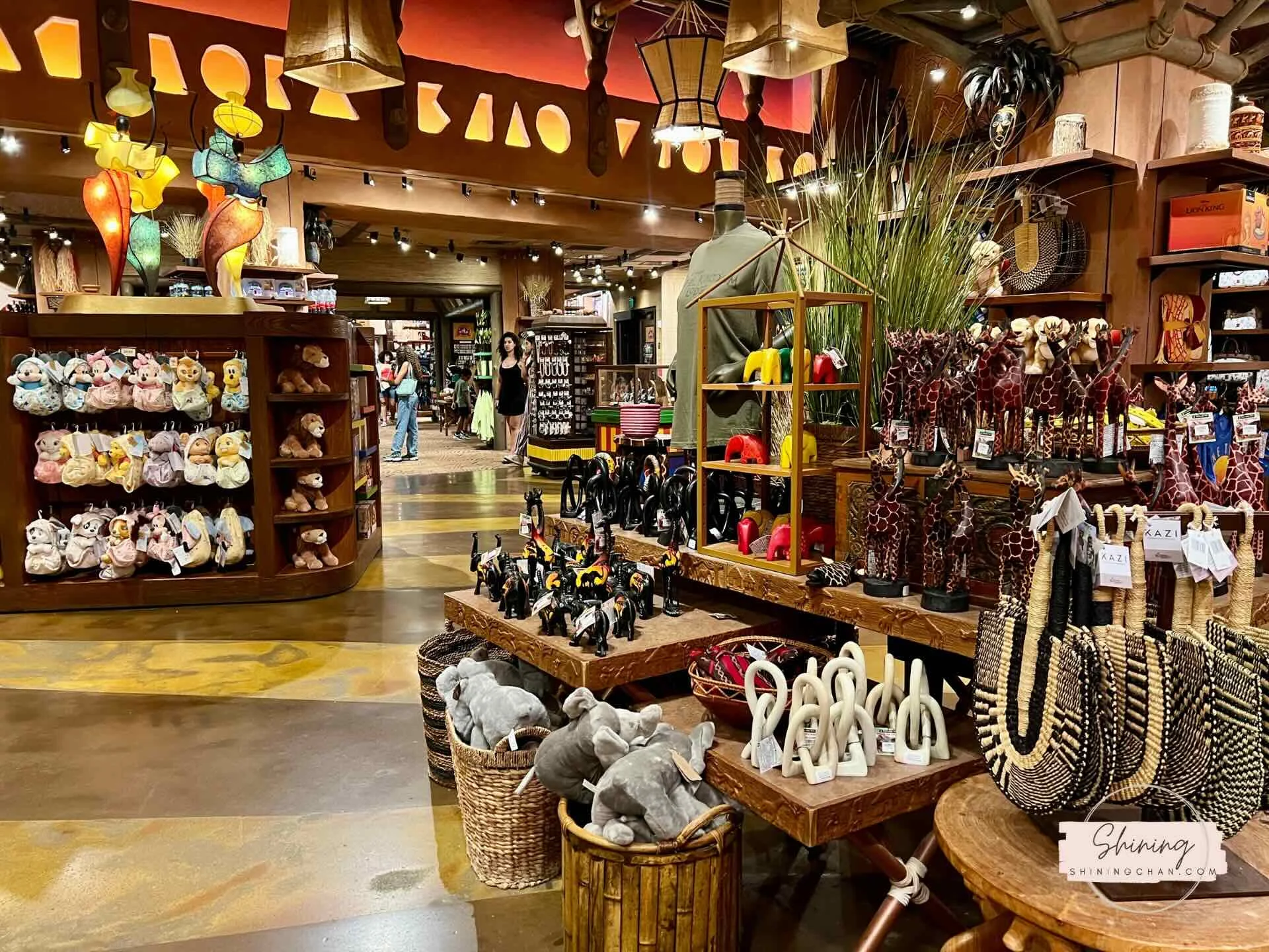 Wdw Animal Kingdom Lodge 13