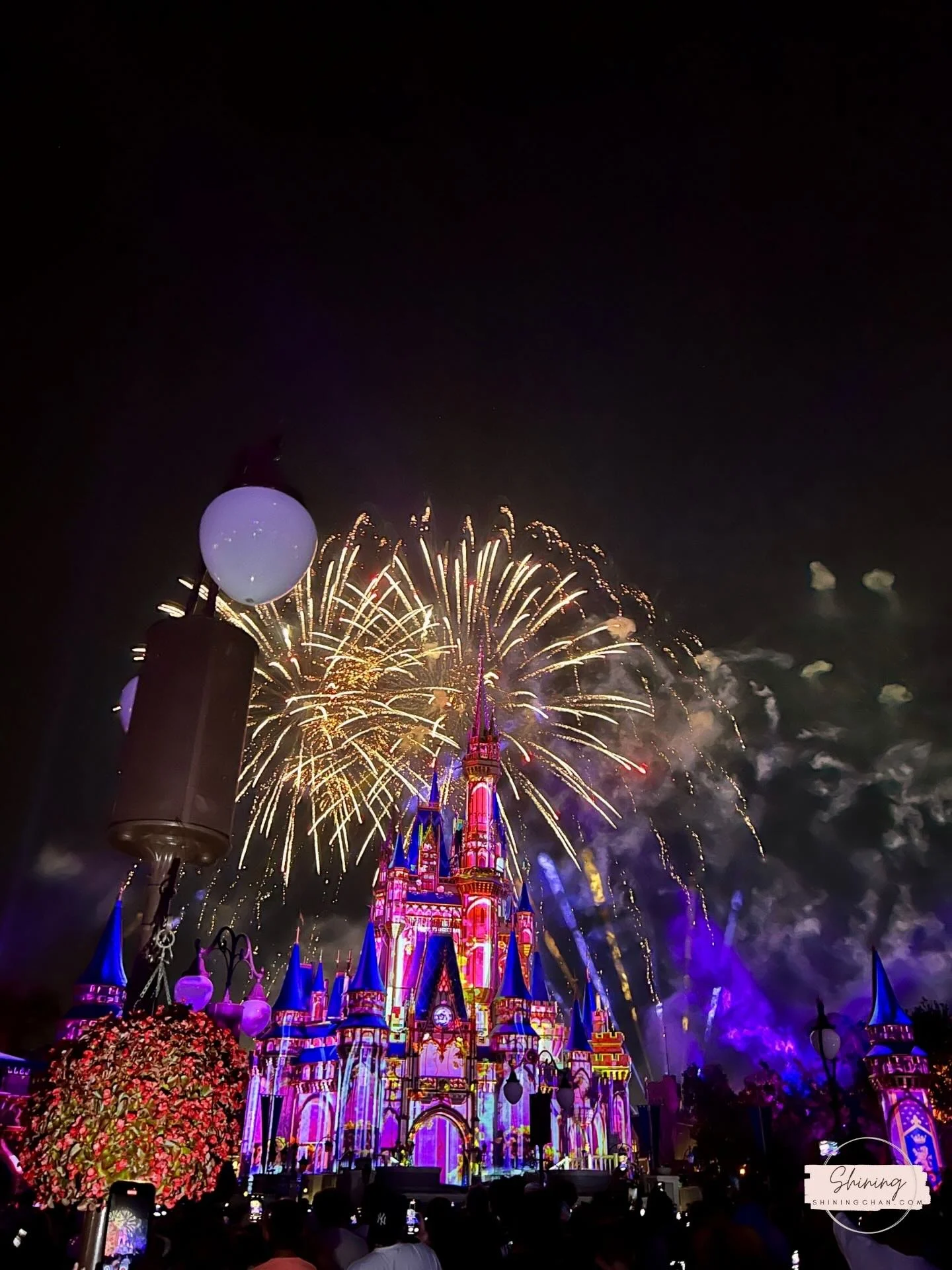 Wdw Magic Kingdom 16