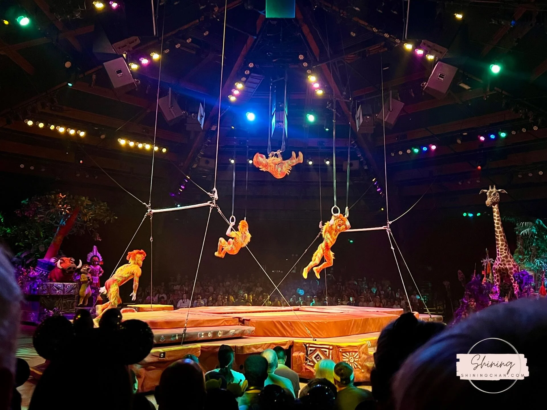 Wdw Animal Kingdom 6