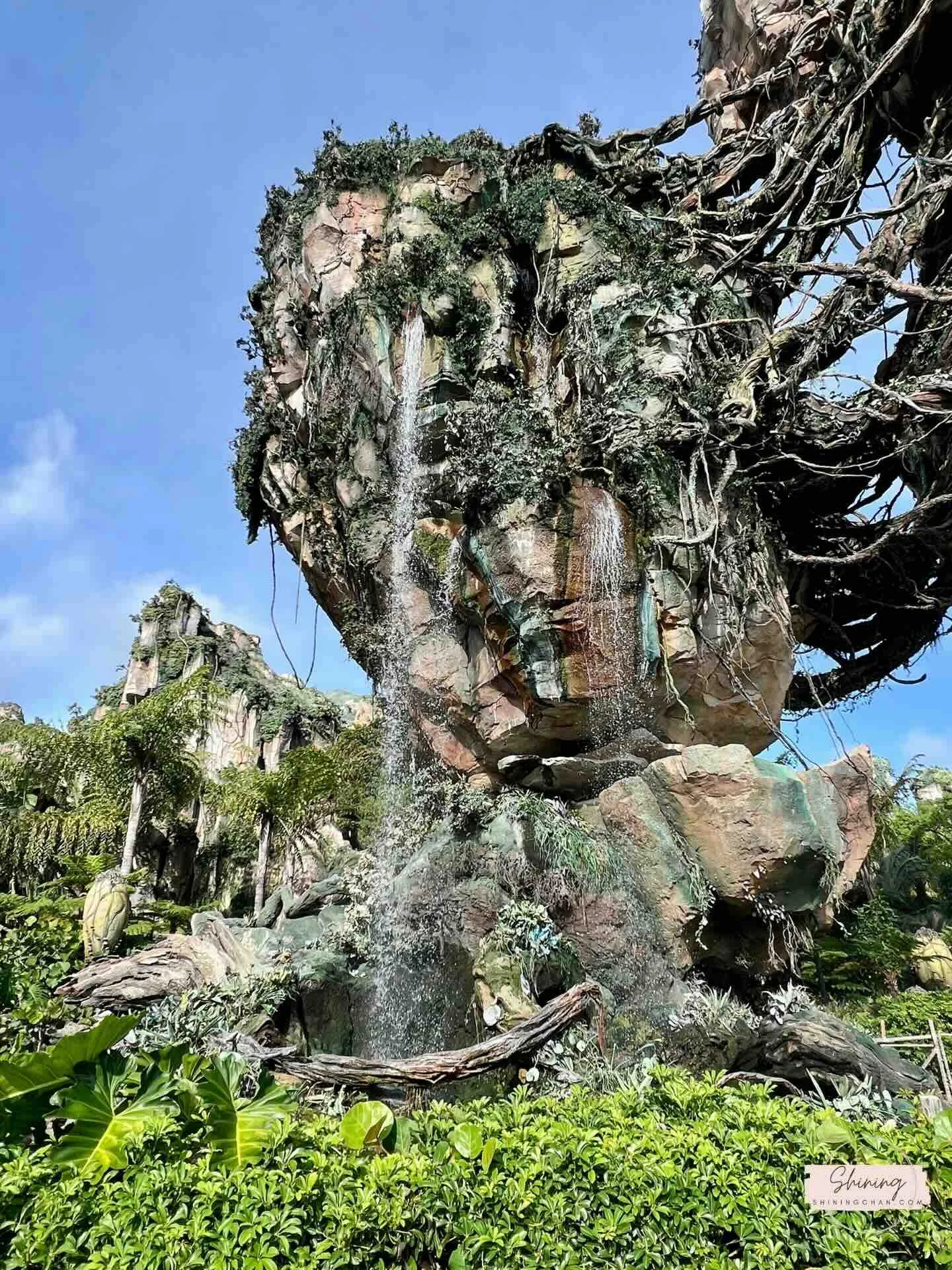 Wdw Animal Kingdom 10