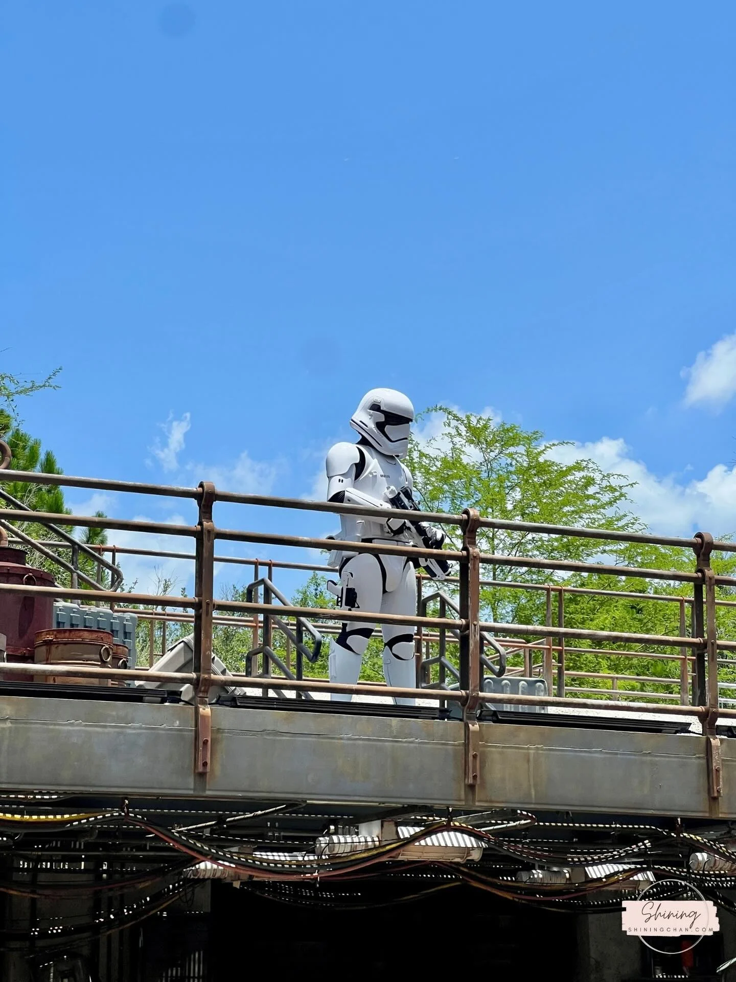 Wdw Hollywood Studios 7