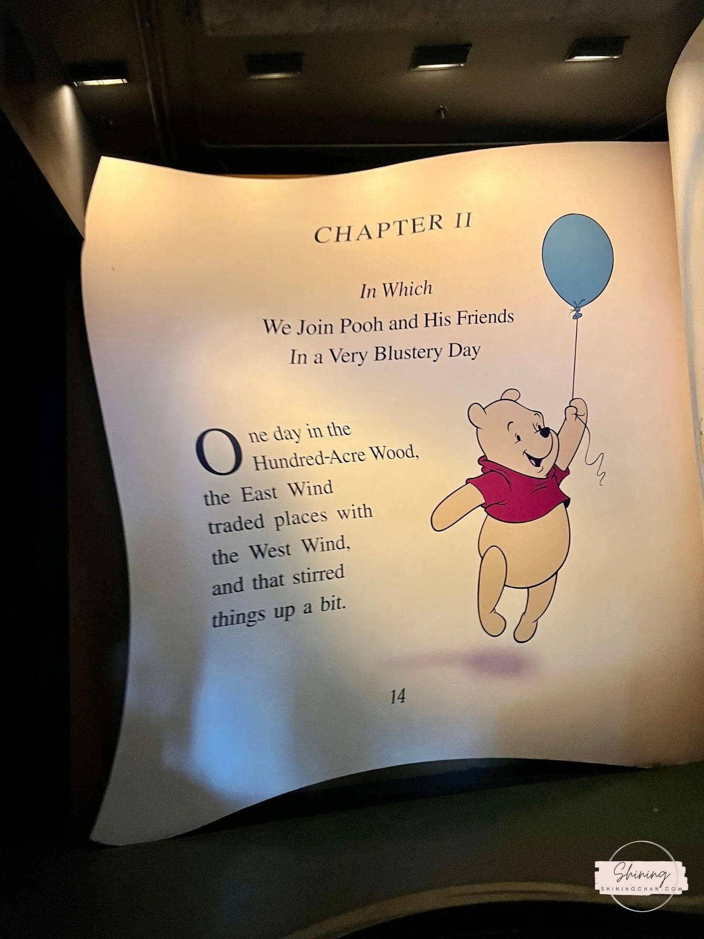 Wdw Magic Kingdom 12